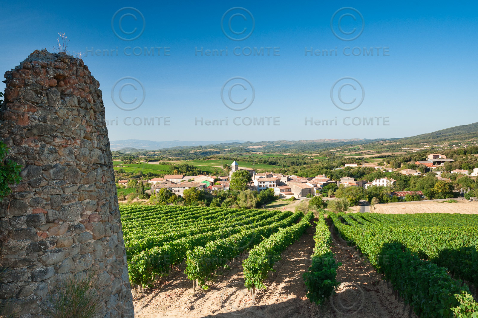 Vignoble de Limoux