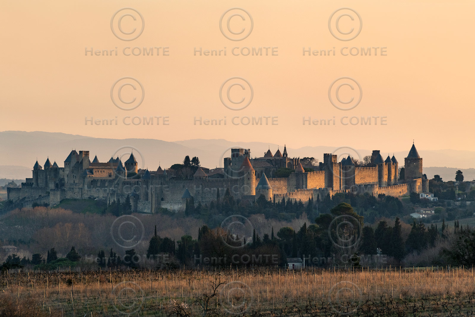 Cité de Carcassonne