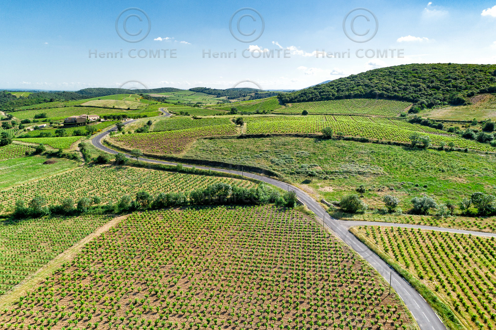 Vignoble de Faugères