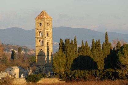 Puissalicon