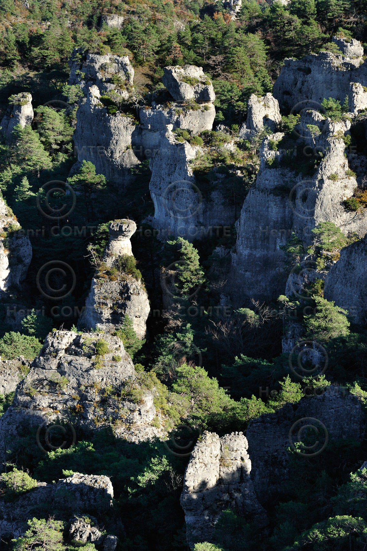 Montpellier le Vieux