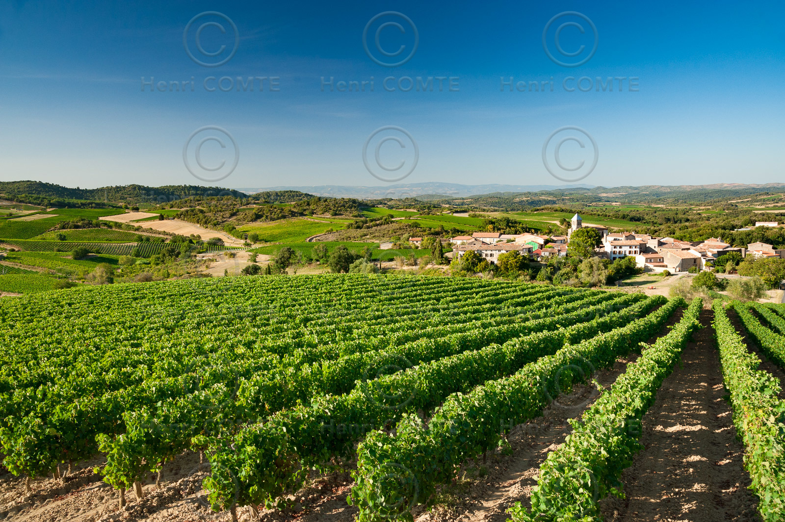 Vignoble de Limoux