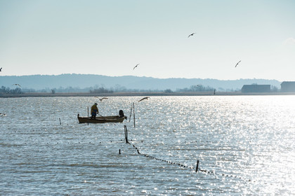Etang de Bages
