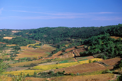 Vignoble Saint Chinian