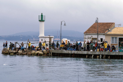 Pêche à la daurade