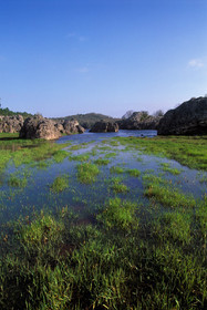 Le lac des Rives