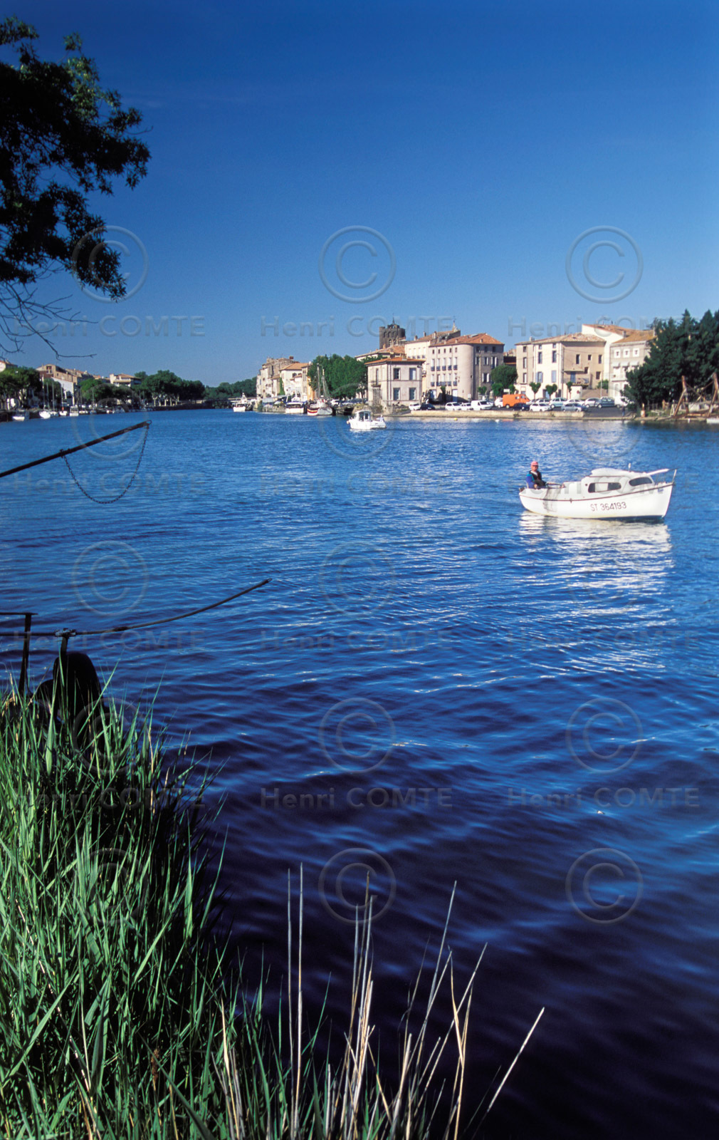 Les rives de l'Hérault