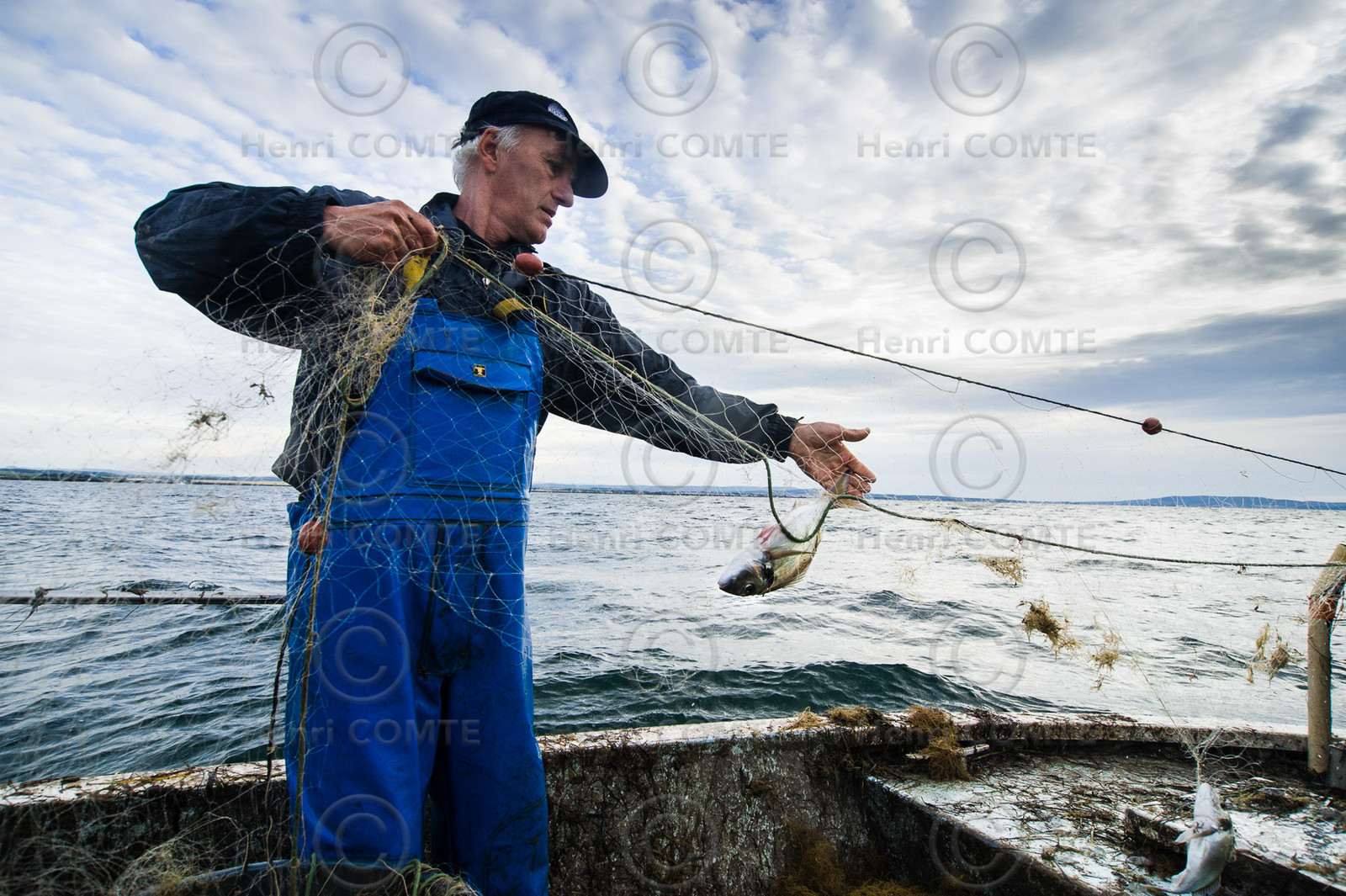 Pêche étang de thau