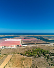 Salin de Gruissan