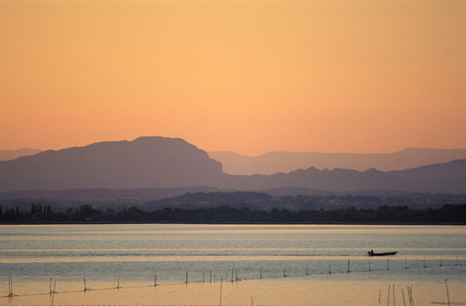 Etang de l'Or