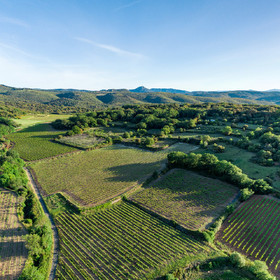 Vignoble Pezenas