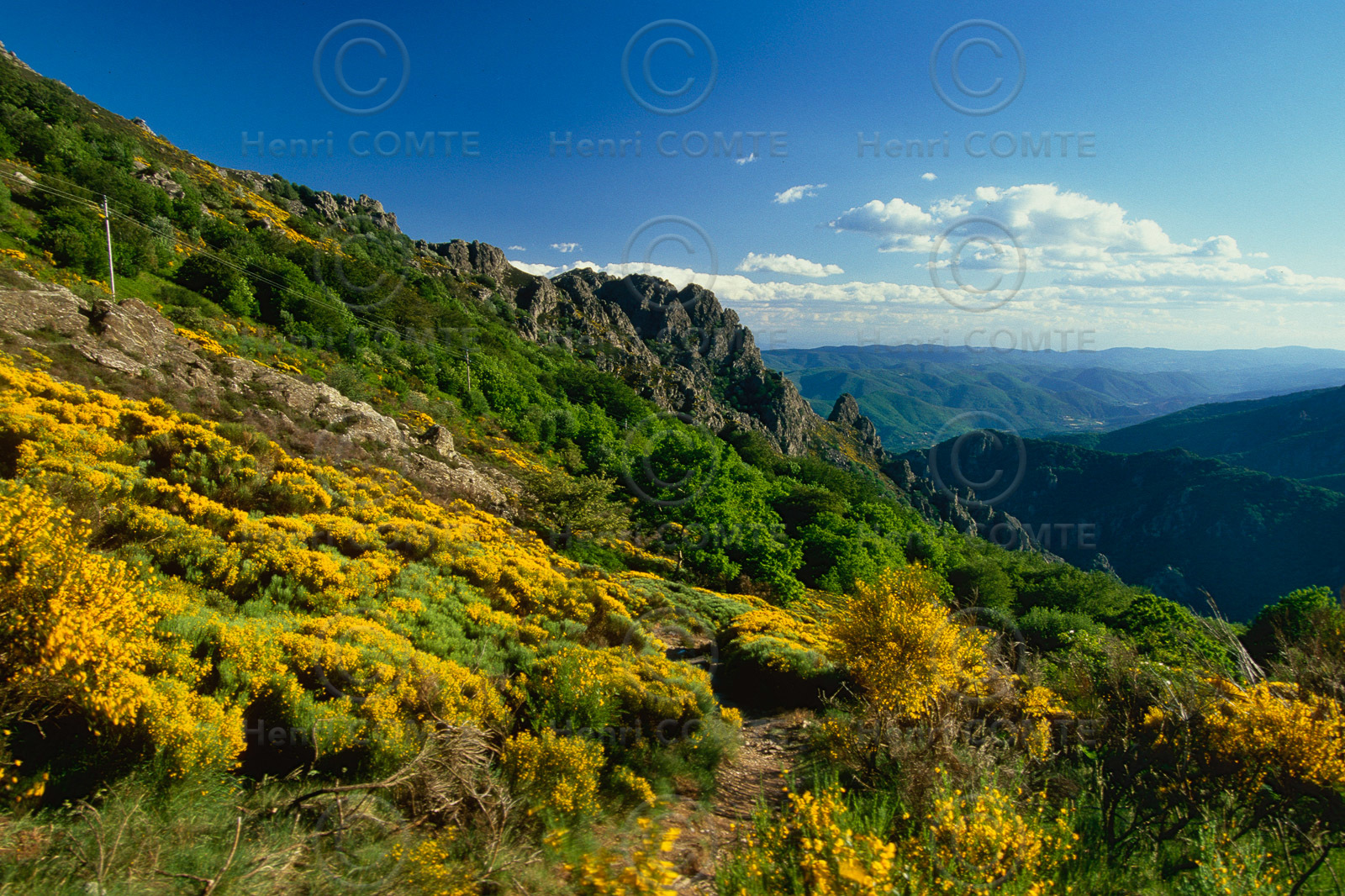 Le massif du Caroux