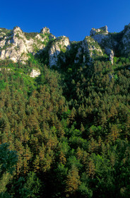 Gorges du Tarn