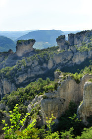 Gorges de la Jonte