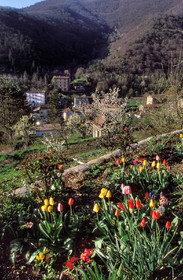 Valleraugue