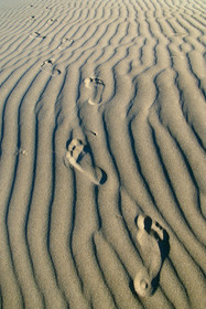 Trace de pas