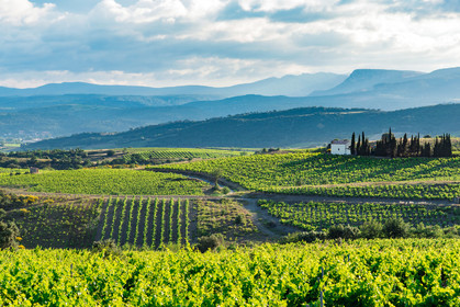 Côtes du Roussillon