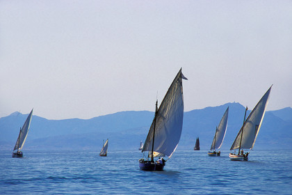 Voiles latines
