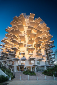 L'Arbre Blanc