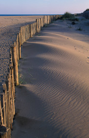 Dunes et ganivelles