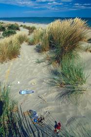 Déchets