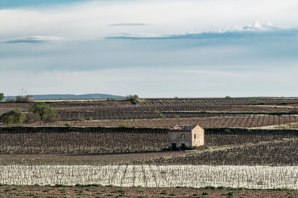 Vignes et mazet