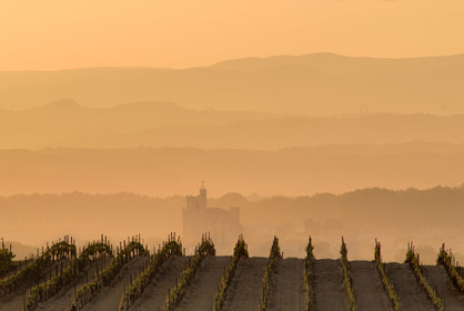 Vignoble du bitterois