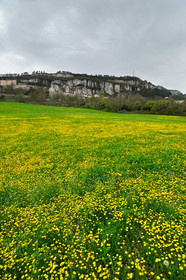 Roquefort