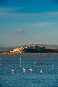 Etang de Bages Sigean