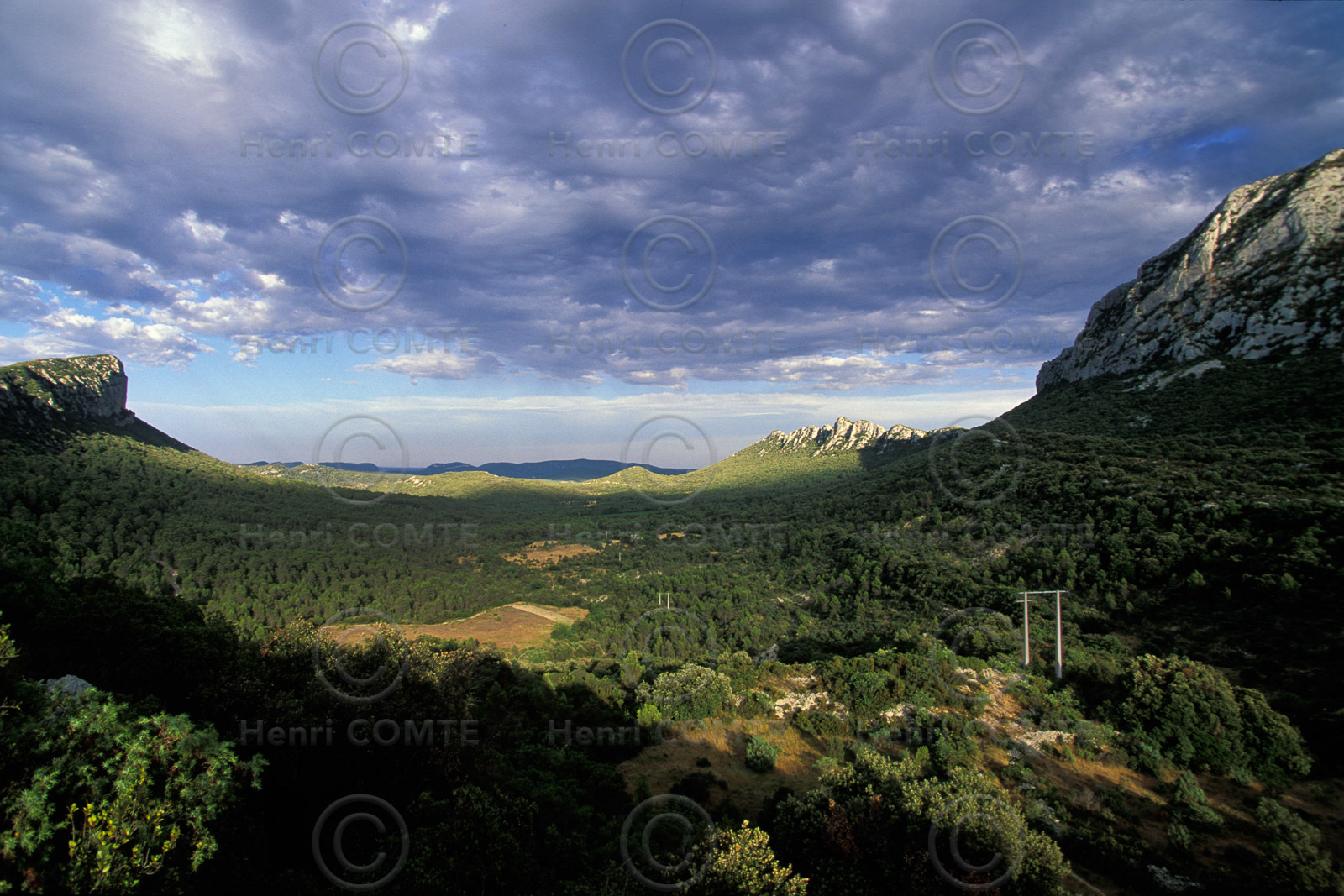 Pic Saint Loup
