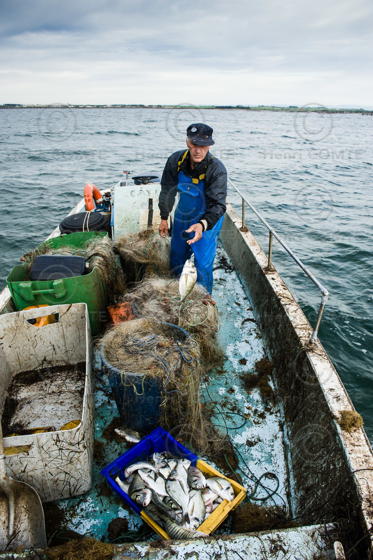 Pêche étang de thau