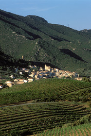 Vignoble Saint Chinian
