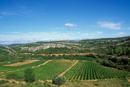 Vignoble Saint Chinian