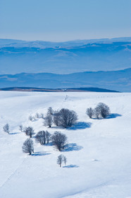 L'Aubrac
