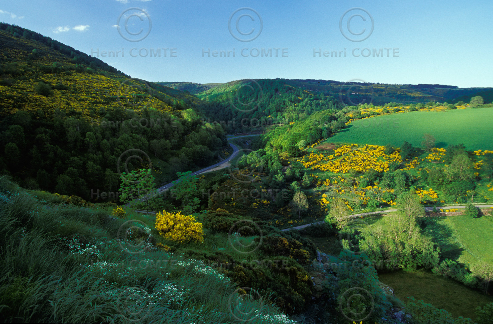 Paysage de Lozère