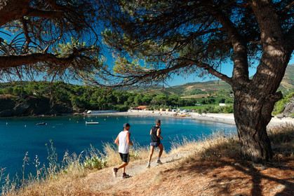 Anse de Paulilles