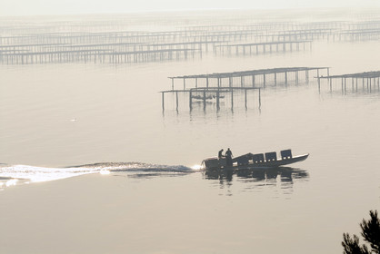 Bassin de Thau
