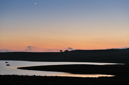L'Aubrac