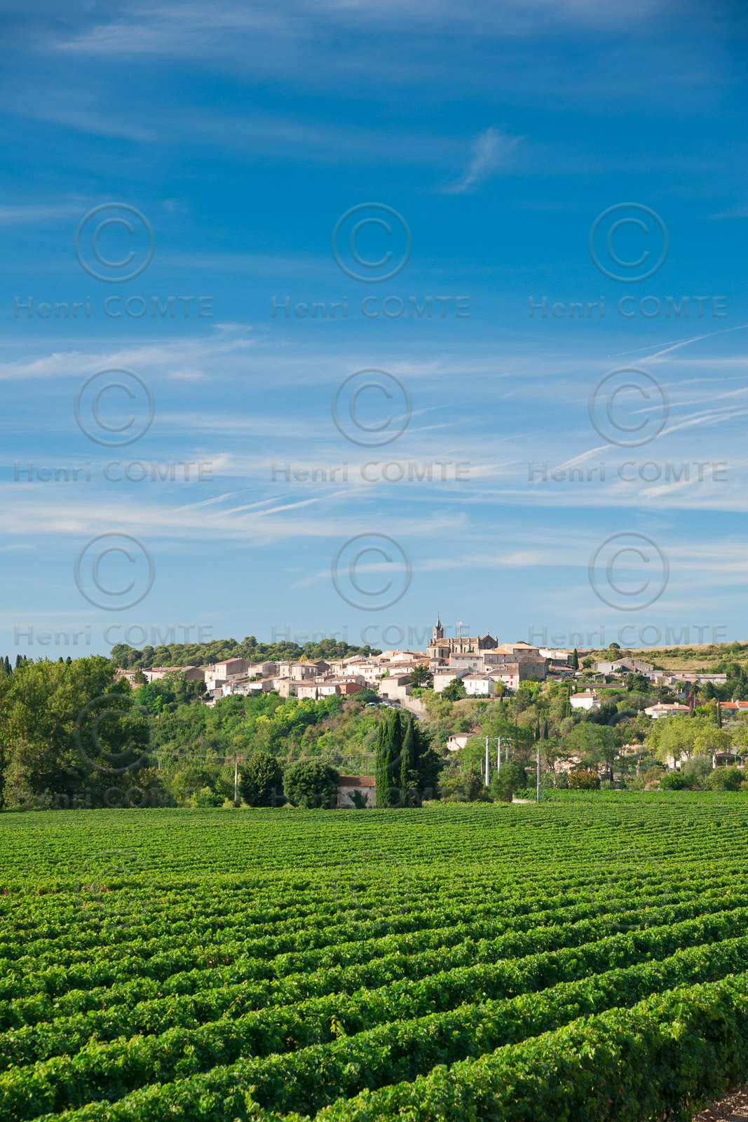 Vignoble de Malepére