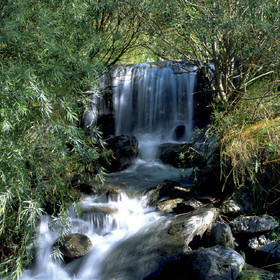 Cascade
