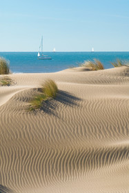 Plage Espiguette