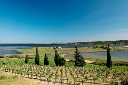 Vignoble des Corbieres