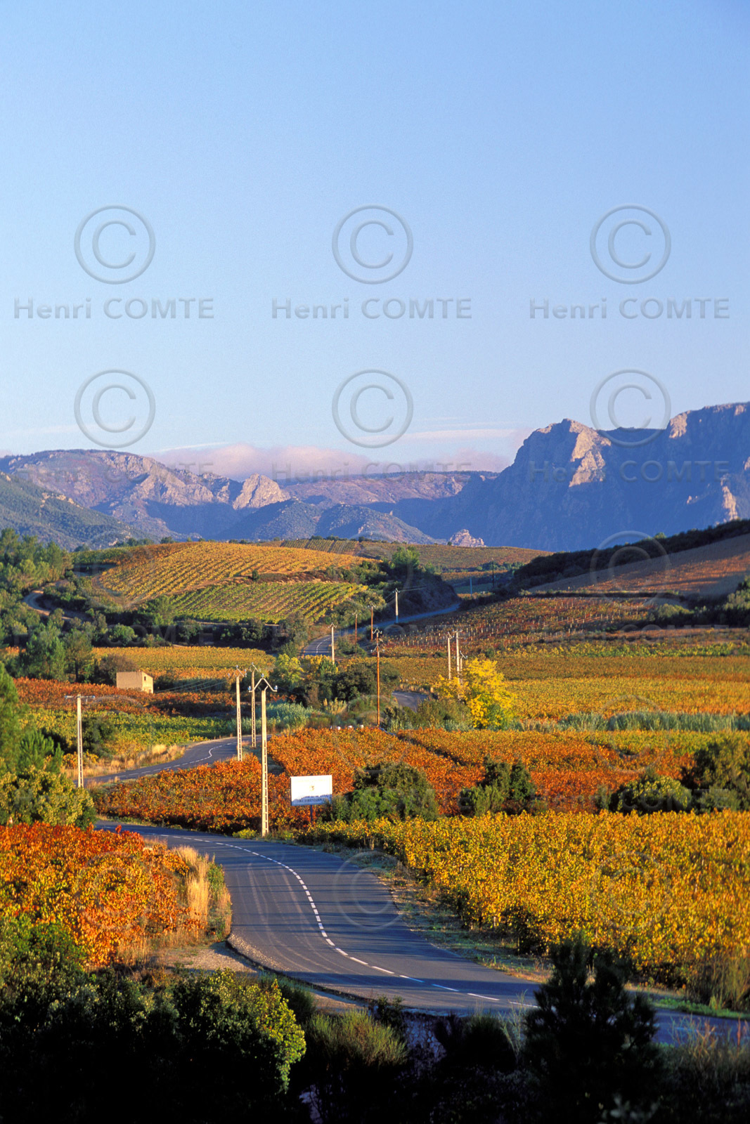 Vignoble Saint Chinian