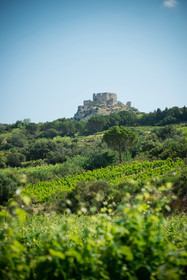 Aguilar