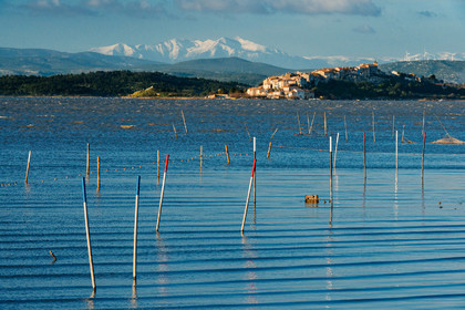 Etang de Bages Sigean