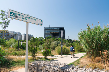 Montpellier