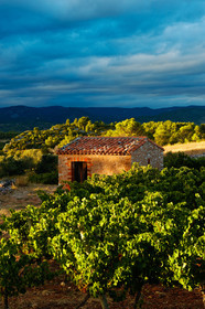 Vignoble Saint Chinian
