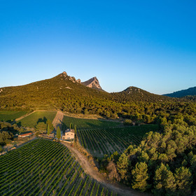 Vignoble Pic Saint Loup