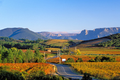 Vignoble Saint Chinian