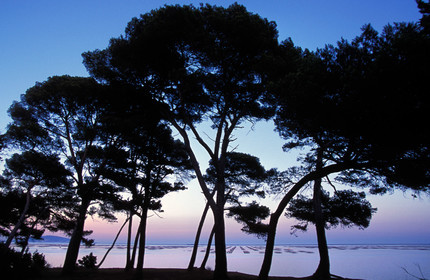 Etang de Thau